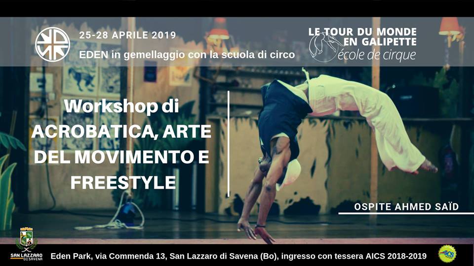 workshop_acrobatica